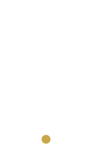 LFQ